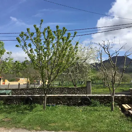 El Bosquexu